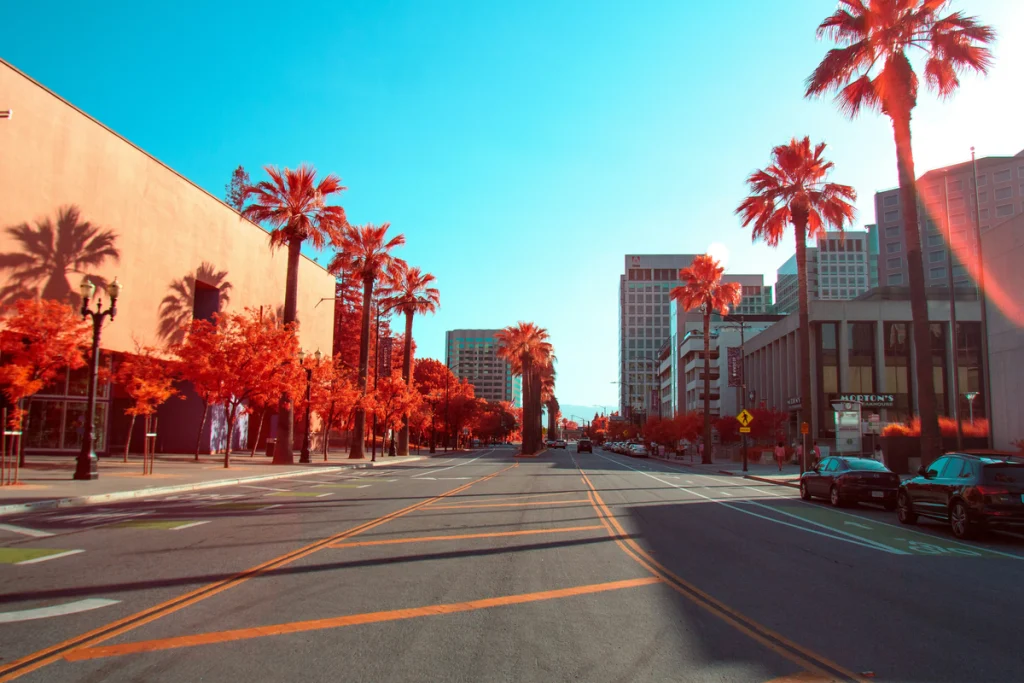 An empty street in sunny California, lined with palm trees and buildings.