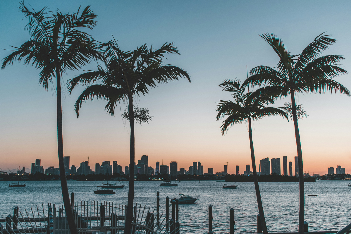 A sunset view of a city, sea water, and palm trees are in the foreground. This is somewhere in Florida.